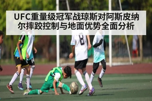 UFC重量级冠军战琼斯对阿斯皮纳尔摔跤控制与地面优势全面分析