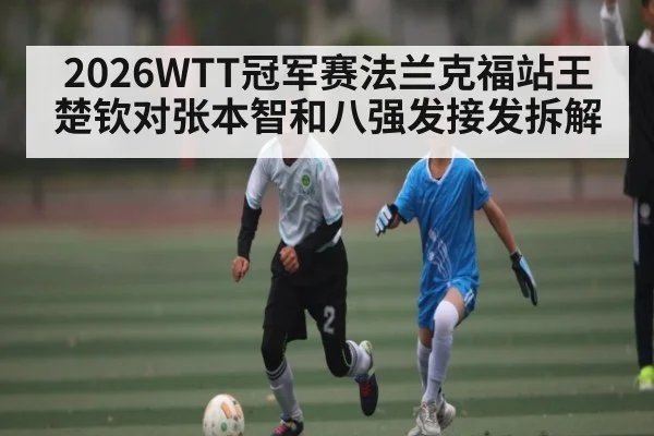 2026WTT冠军赛法兰克福站王楚钦对张本智和八强发接发拆解